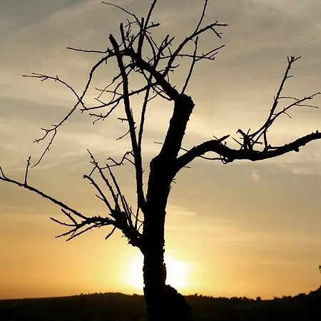 Shauri Glamping * Noto