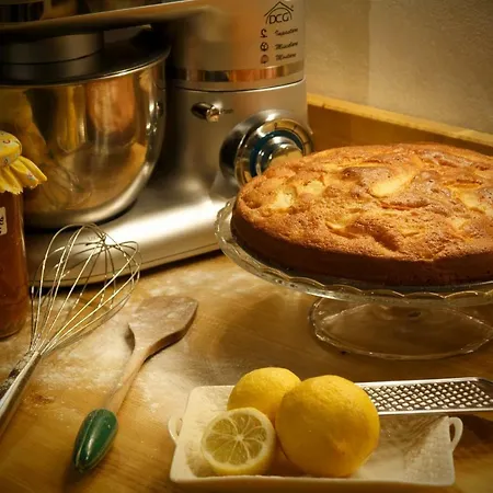 Shauri Glamping Glamping