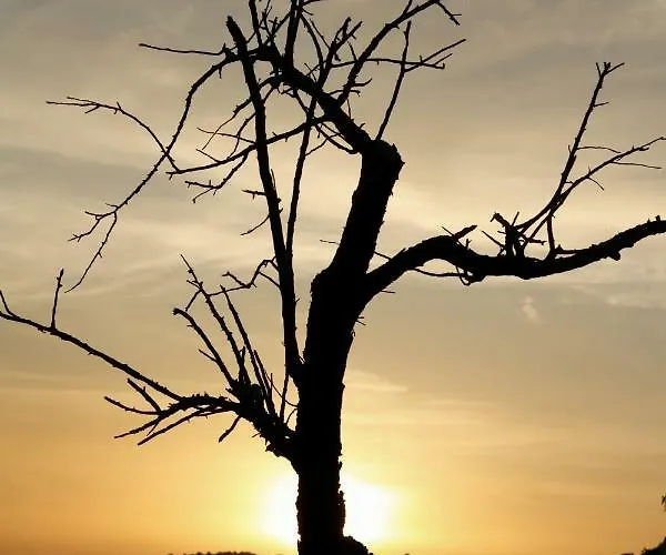 Shauri Glamping * Noto