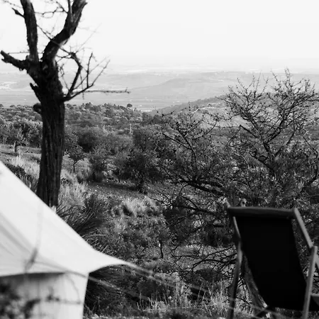 Luksustelt Shauri Glamping *